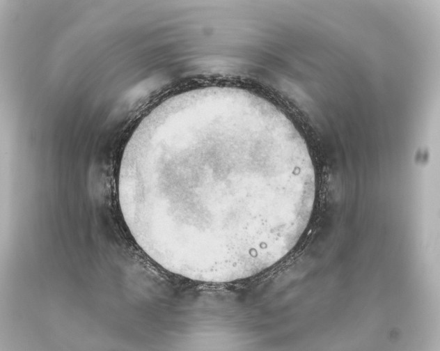 X0000093610918200710291202