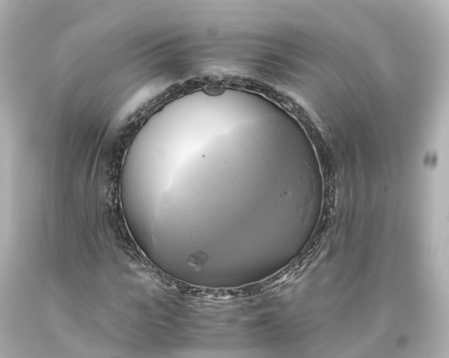 X0000093610919200710291202