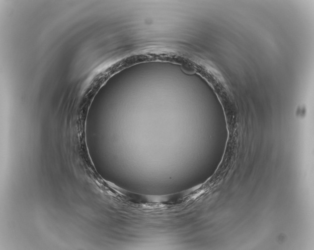 X0000093610920200710291202