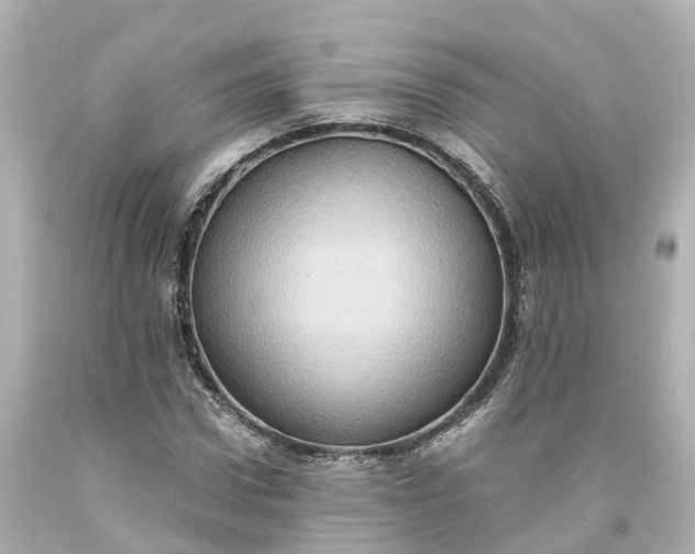 X0000093610922200710291202