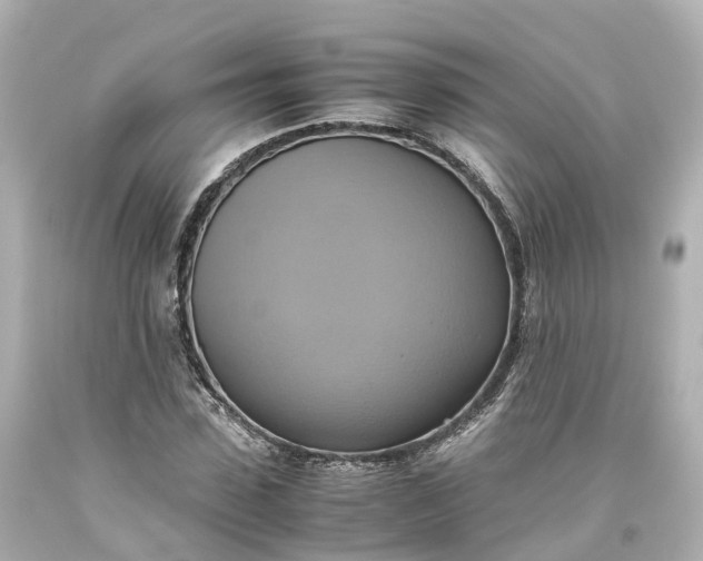 X0000093610923200710291202