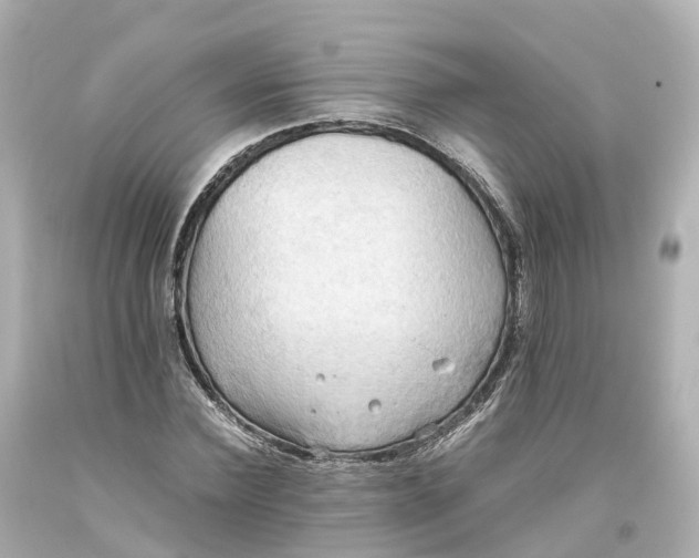 X0000093610924200710291202