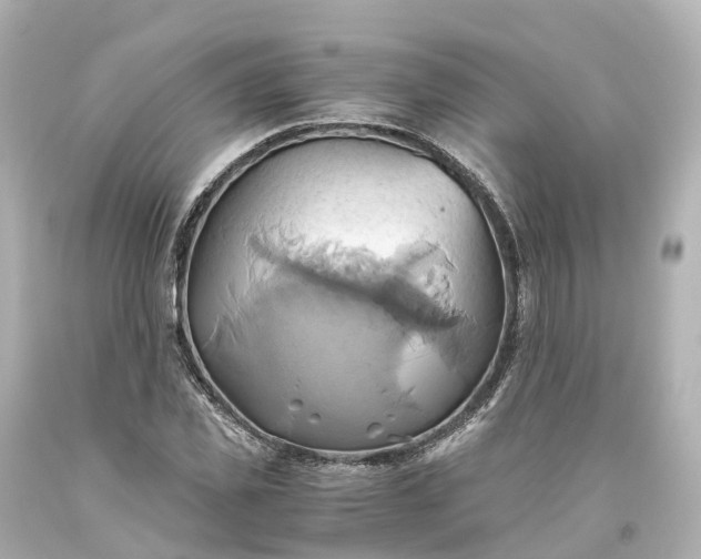 X0000093610925200710291202