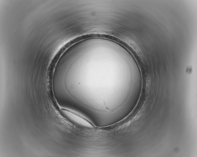 X0000093610926200710291202