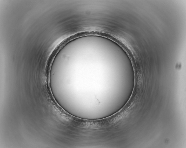 X0000093610927200710291202