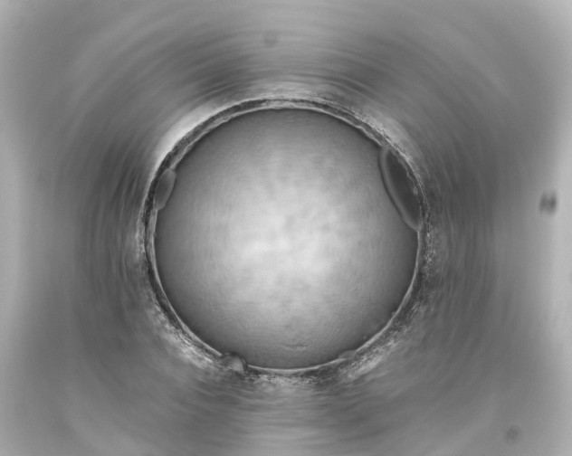 X0000093610928200710291202