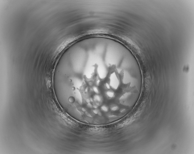 X0000093610929200710291202
