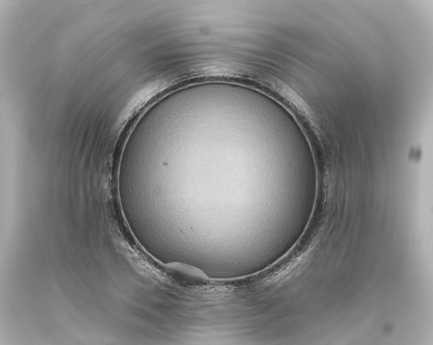 X0000093610930200710291202