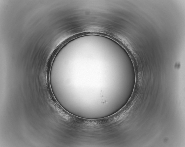 X0000093610931200710291202