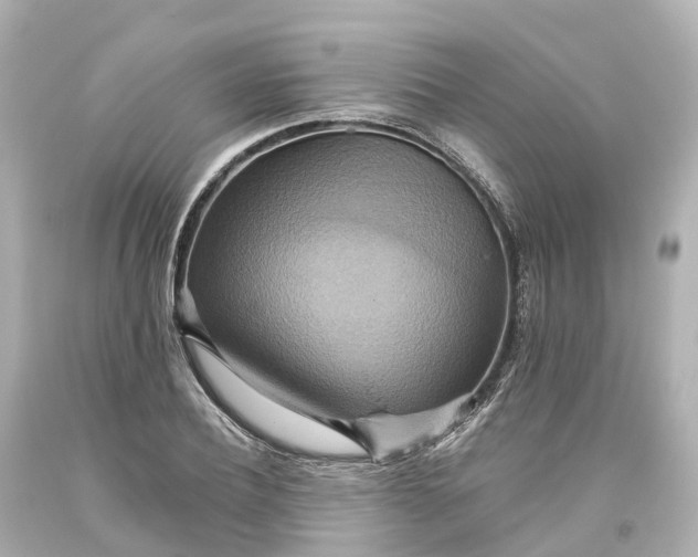 X0000093610932200710291202