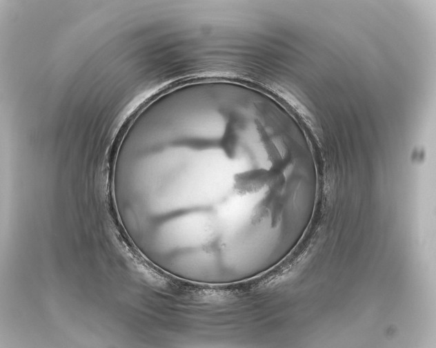 X0000093610933200710291202