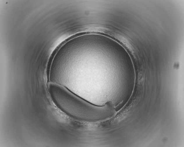 X0000093610936200710291202