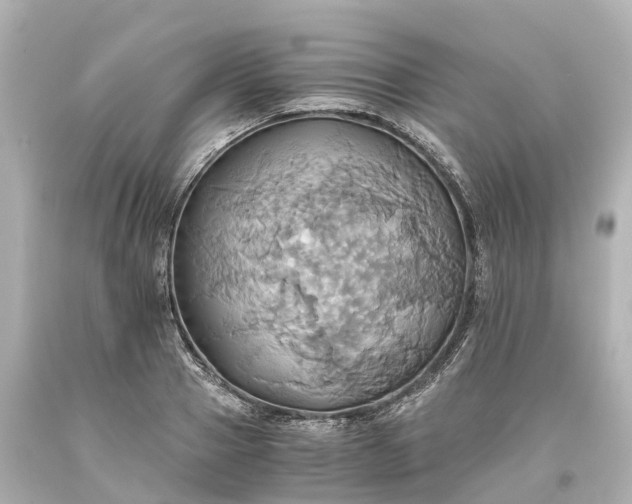 X0000093610937200710291202