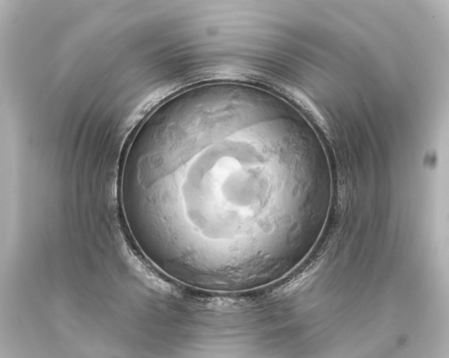 X0000093610938200710291202