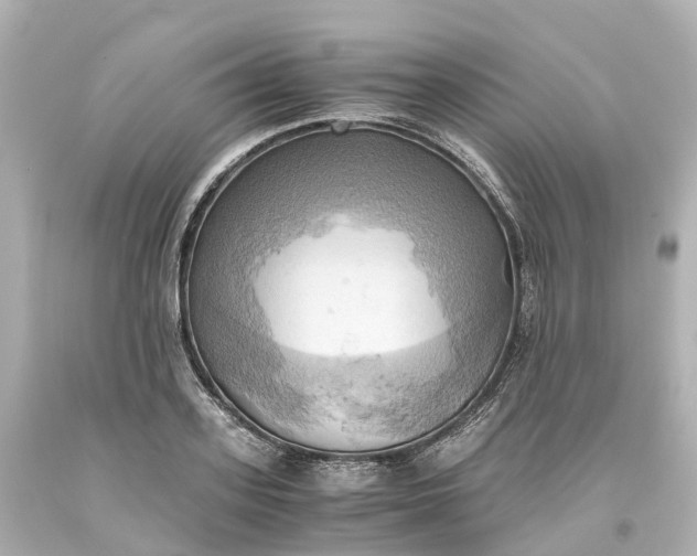 X0000093610939200710291202