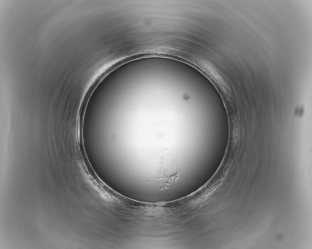 X0000093610940200710291202