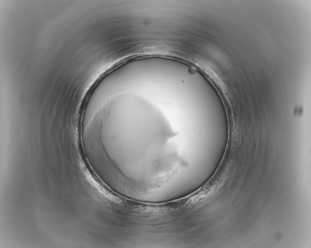 X0000093610941200710291202
