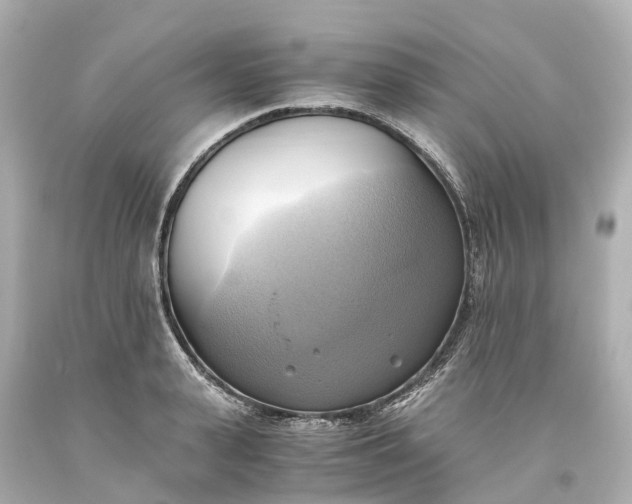 X0000093610943200710291202