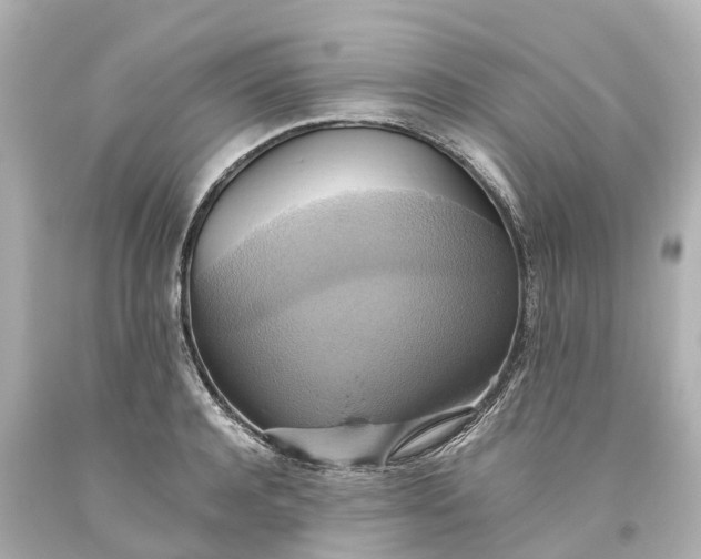 X0000093610944200710291202