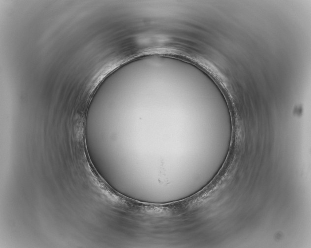 X0000093610945200710291202