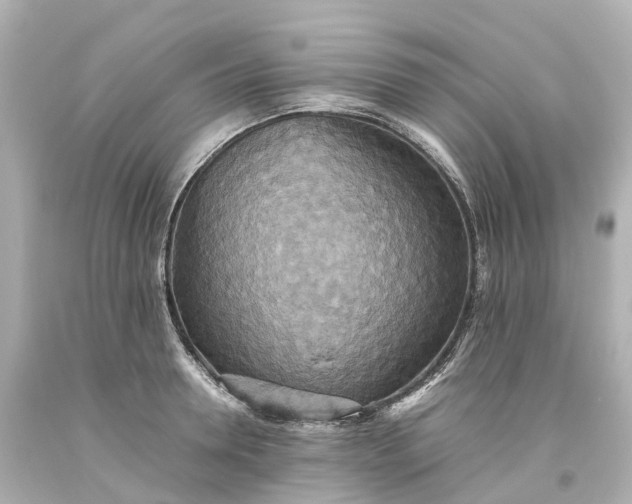 X0000093610946200710291202
