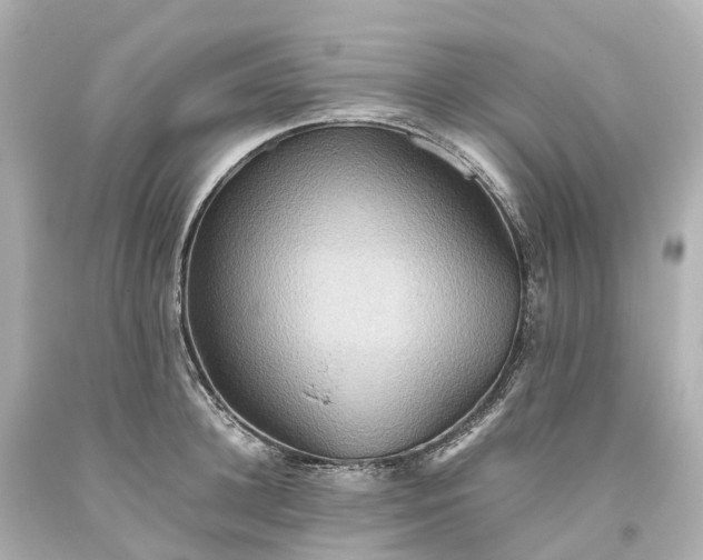 X0000093610948200710291202