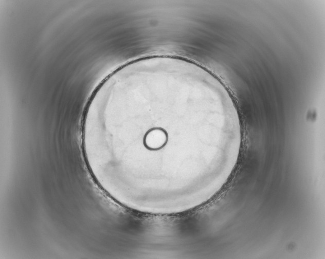 X0000093610950200710291202