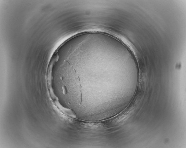 X0000093610951200710291202
