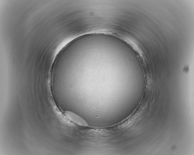 X0000093610952200710291202