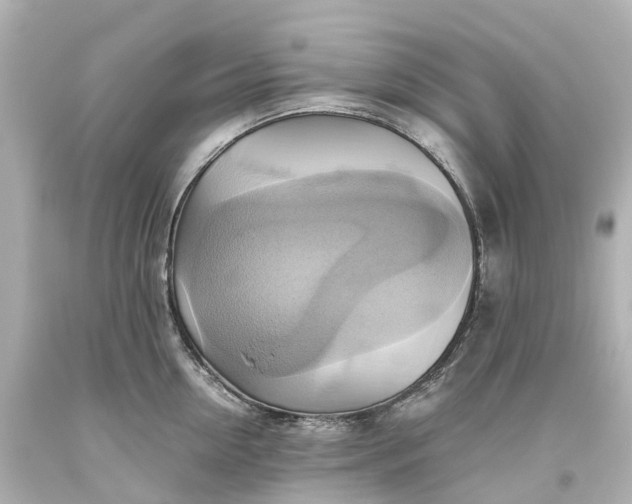 X0000093610954200710291203