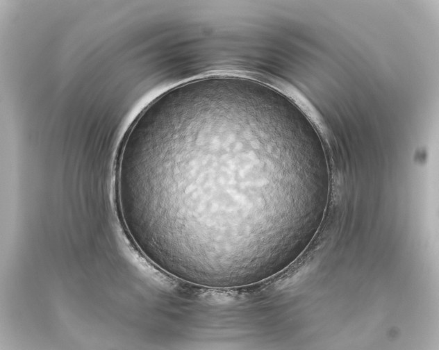 X0000093610955200710291203