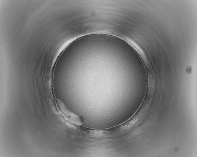 X0000093610956200710291203