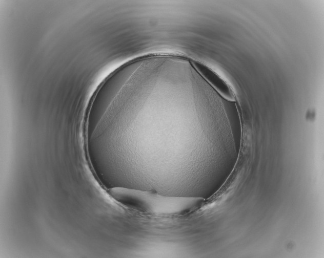 X0000093610959200710291203