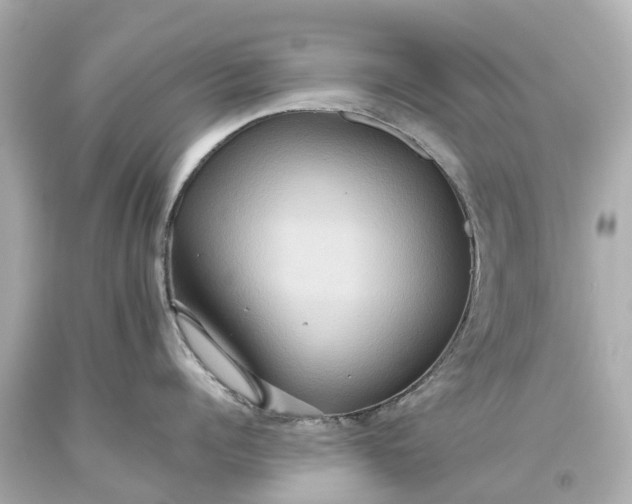 X0000093610960200710291203