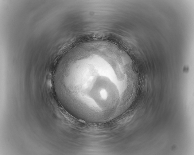 X0000093610962200710291202