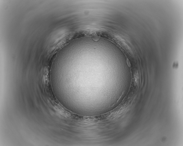 X0000093610964200710291202