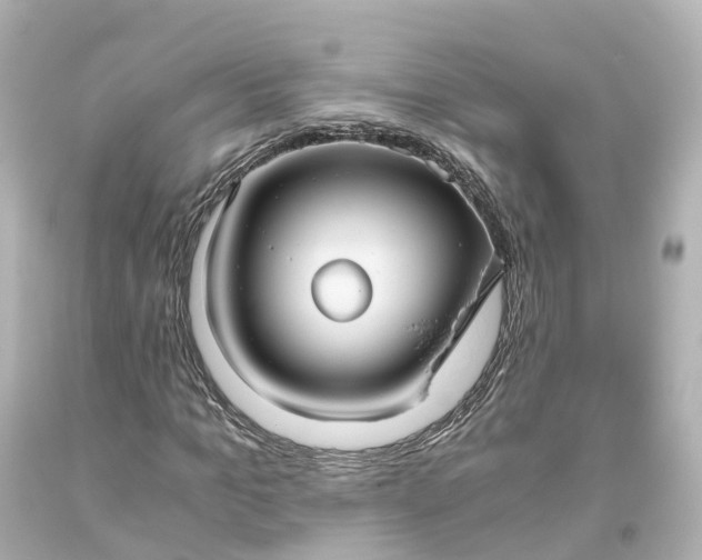 X0000093610965200710291202