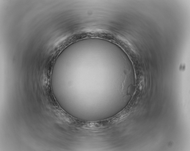 X0000093610966200710291202