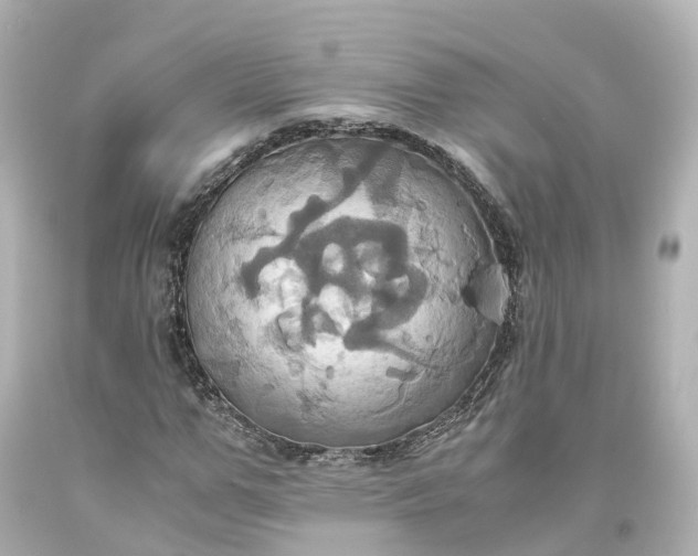 X0000093610967200710291202