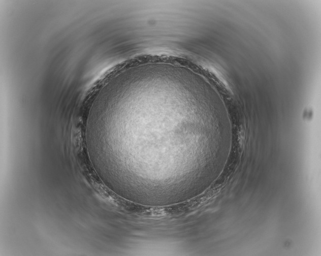X0000093610968200710291202