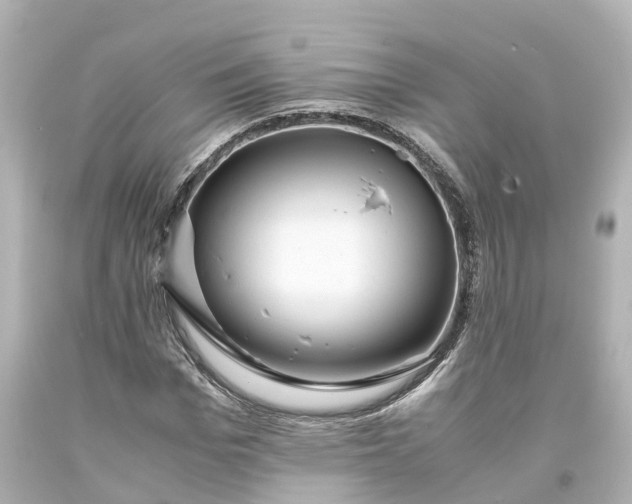 X0000093610969200710291202