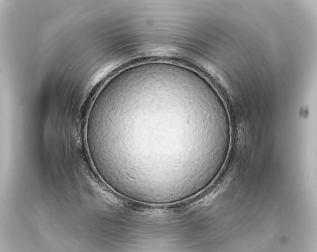 X0000093610970200710291202