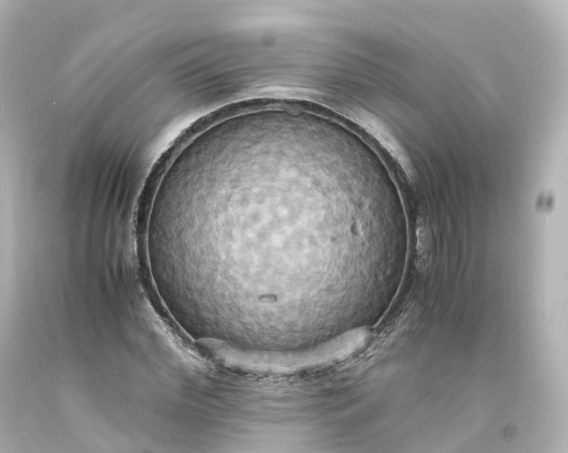 X0000093610972200710291202