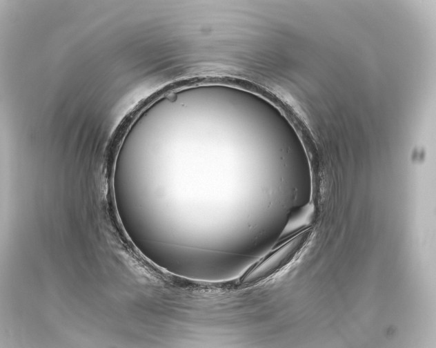 X0000093610973200710291202