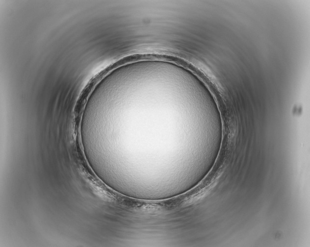 X0000093610974200710291202