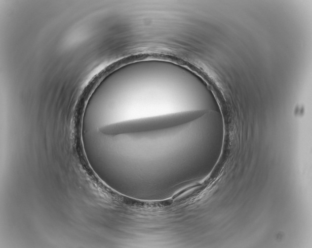 X0000093610975200710291202