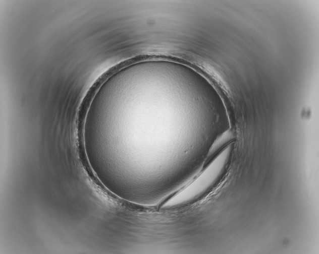 X0000093610976200710291202