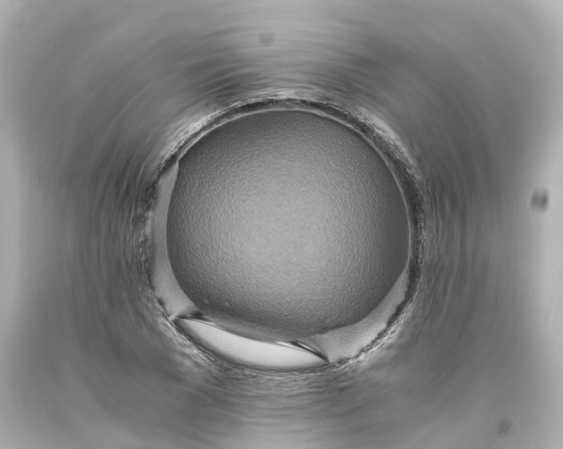 X0000093610977200710291201