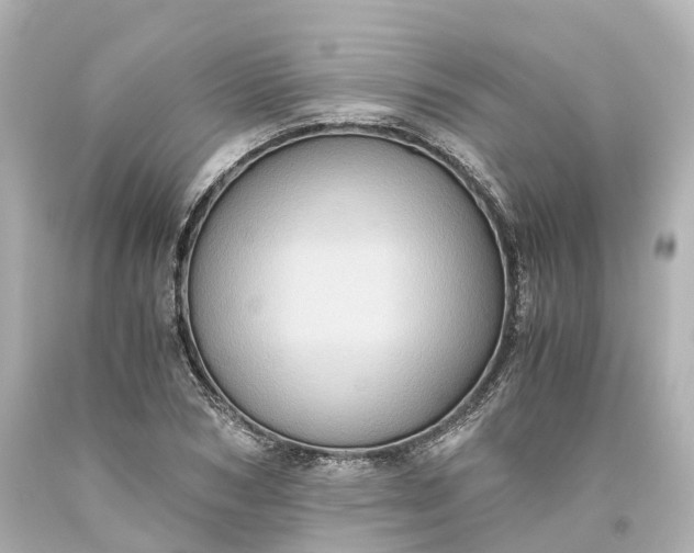 X0000093610978200710291201
