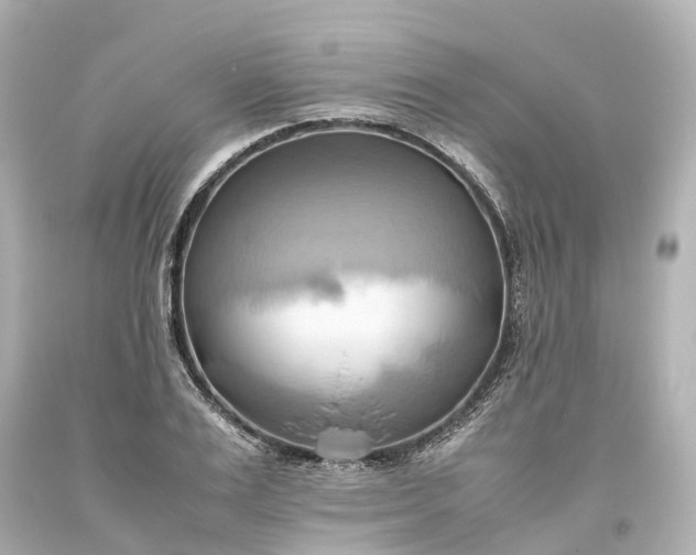 X0000093610983200710291201